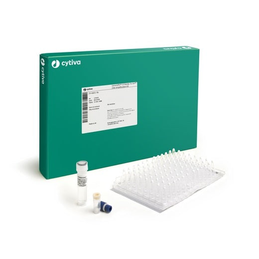 GenomiPhi V3 Ready-To-Go DNA Amplification Kit 96 reactions