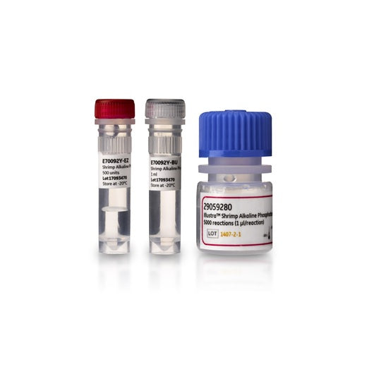 Amersham Shrimp Alkaline Phosphatase, 500 Units