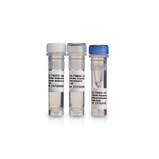 Thermo Sequenase DNA Polymerase (with Thermoplasma acidophilum Inorganic Pyrophosphatase (TAP))