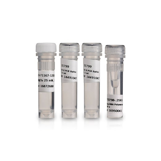 Taq DNA Polymerase (cloned), 10 x 250 Units