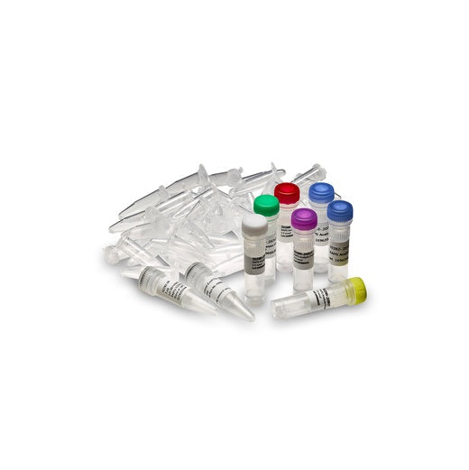 Amersham Ready-To-Go RAPD Analysis Beads (100 reactions)