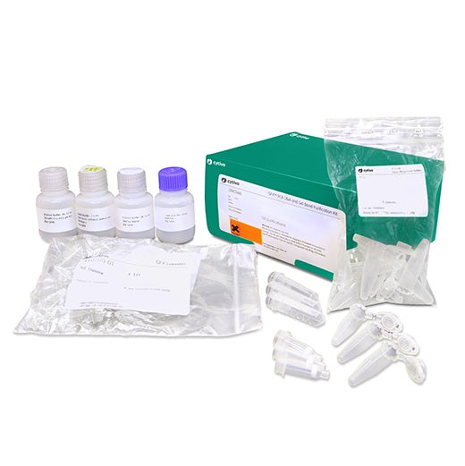 GFX PCR DNA, Gel Band Purification kit, 250