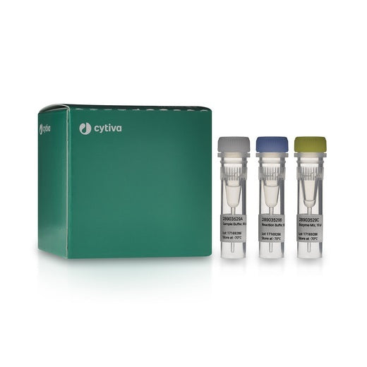 TempliPhi sequence resolver kit, 200 reactions