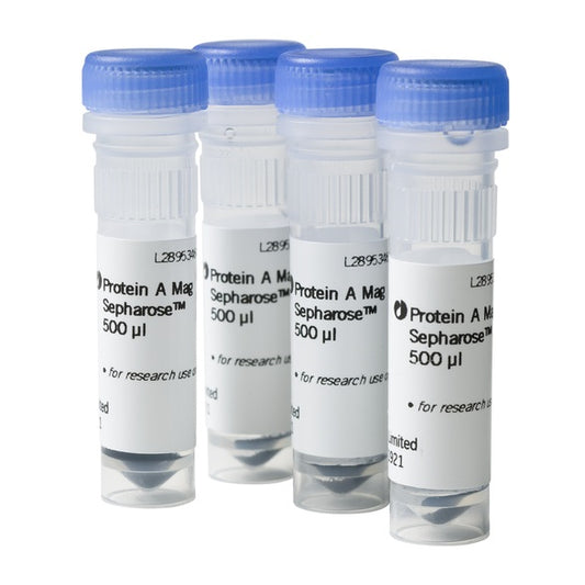 Protein A Mag Sepharose 4x500ul