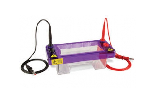 Need Horizontal Gel Systems for your Electrophoresis?  You won't believe these low prices! 
