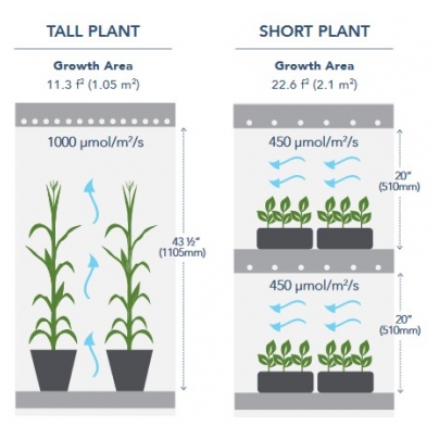 Tall Plant and Short Plant Kits