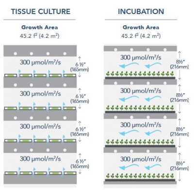 Tissue Culture and Incubation Kits